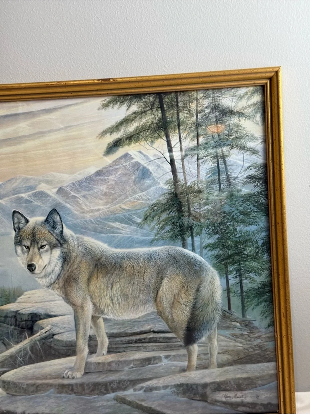 Ruane Manning striking wolf